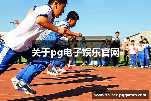 关于pg电子娱乐官网